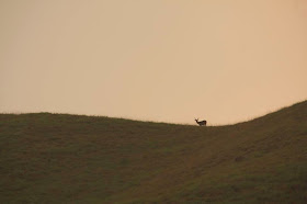 Kudremukh images, western ghats karnataka