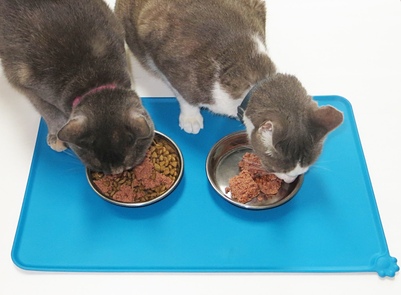 Momma4Life: Silicone Pet Food Mat by Tip-Top Petware ...