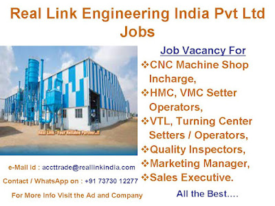 Real Link Engineering India Pvt Ltd Jobs