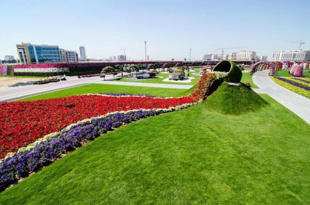 Dubai Flower Show