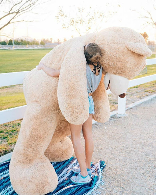 Garota leva seu urso de pelúcia gigante para dar um passeio pela cidade