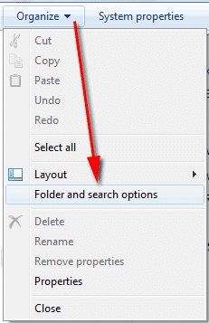 Folder and Search Options