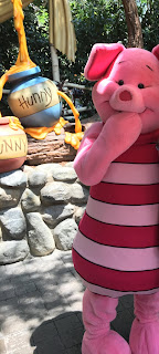 Piglet in Critter Country Disneyland