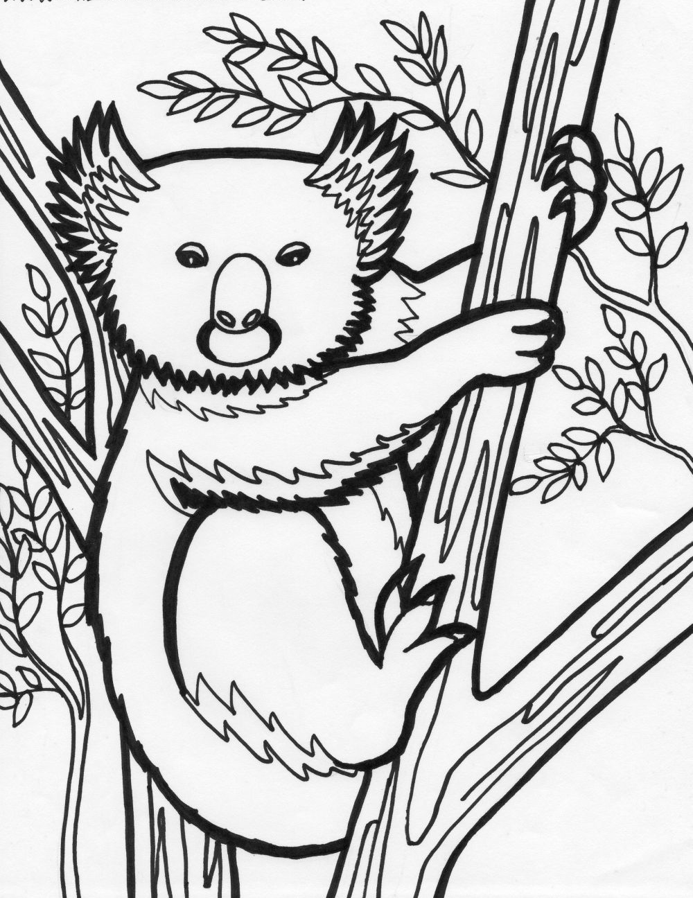 Download Free Coloring Pages: Animal Coloring Pages - Koala and ...