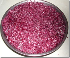 DSCN0010