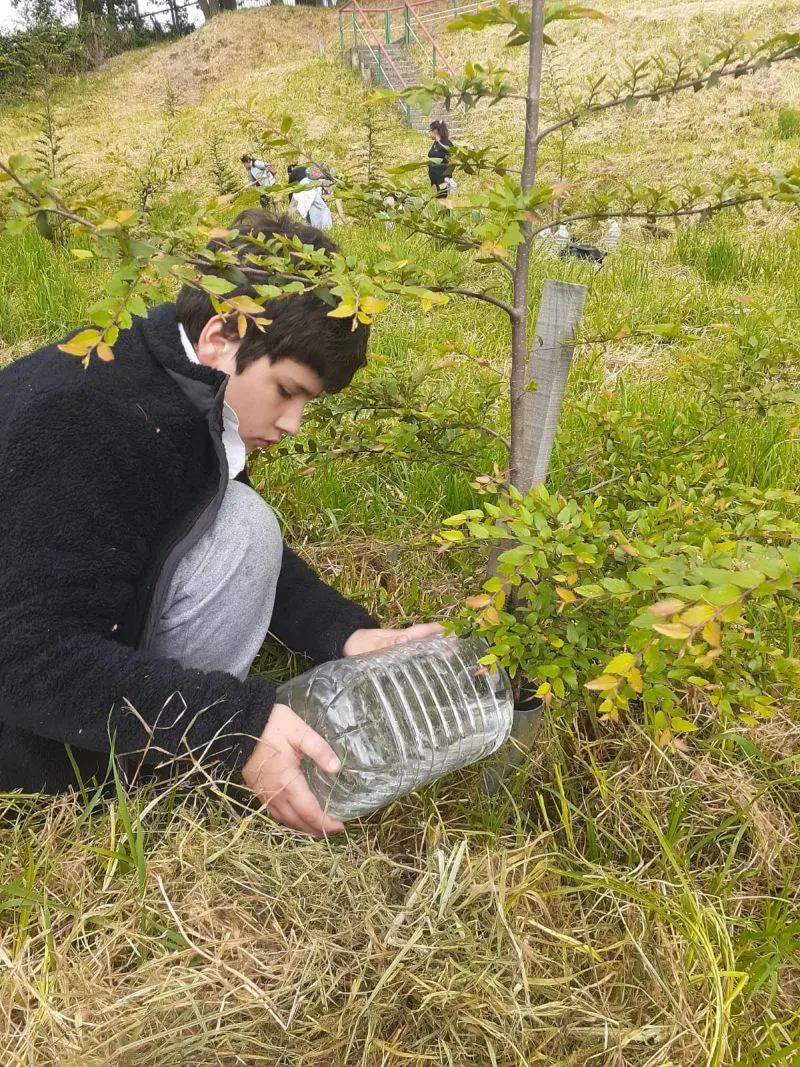 Nueva actividad de Vamos Limpiando y Regando en el Parque Chuyaca