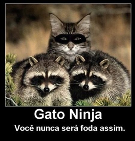 Desmotivacionais,Humor,OGatoNinja.blogspot.com