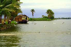 kerala tour package, kerala tour package from delhi.