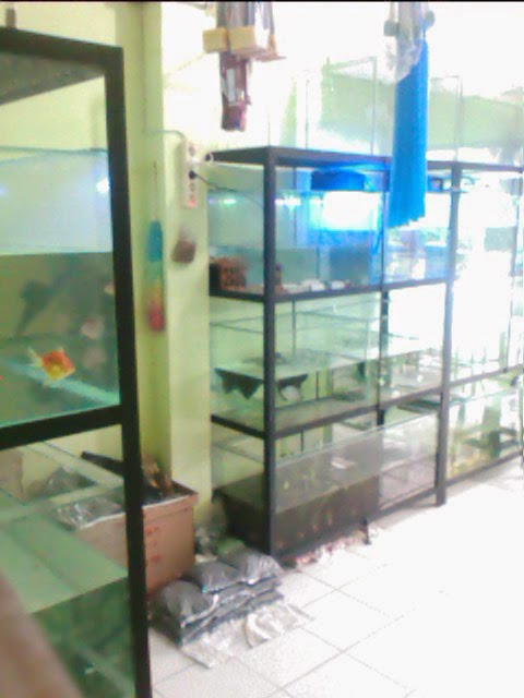 King Fish Aquarium  DI JUAL  AQUARIUM  DAN RAK  BESI 35 SET