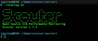 scouter server start up