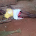 An Alleged Madman Murdered a Man, Wife and Daughter at Agona Nsaba (see Photos)