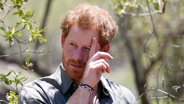 Prince Harry's African Conservation Charity Faces Allegations of Human Rights Abuses