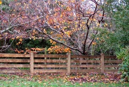fall06
