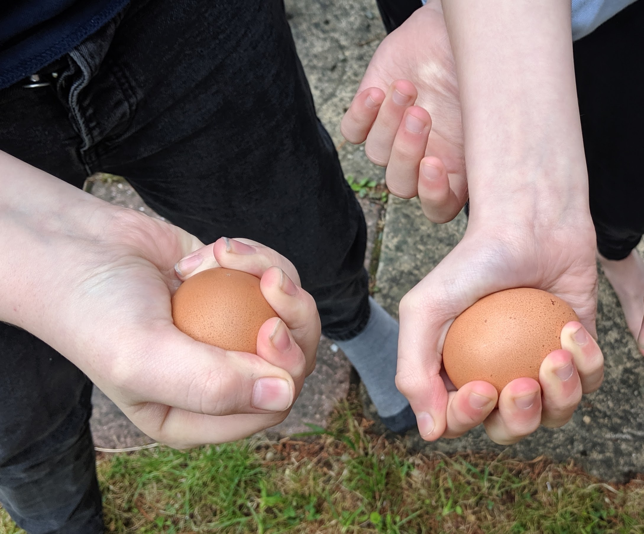 Image nineteen - close up of kids squeezing eggs