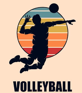 Volly Ball Logo