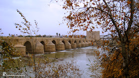 Puente Romano de Cordoba.