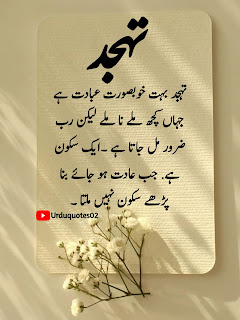 golden words in one line, golden words in urdu one line, golden words in urdu for students, golden words in urdu, 100 plus islamic urdu quotes in urdu, islamic quotes in urdu lines, islamic quotes in urdu shayari, urdu poetry, islamic quotes in urdu poetry, islamic quotes in urdu sms, islamic quotes in urdu text,