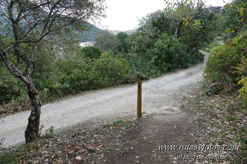 Sendero El Bosque - Benamahoma - Grazalema