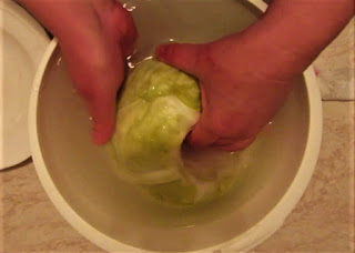 How to pickle the cabbage in one day 