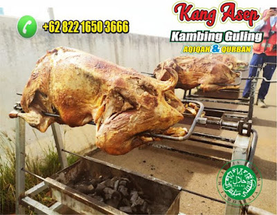 Kambing Guling Enak,Kambing Guling,