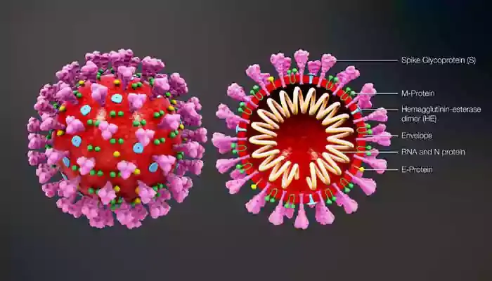 In Jamalpur, a record 22 people were infected in one day, a total of 103 জামালপুরে একদিনে রেকর্ড ২২ জন আক্রান্ত, মোট আক্রান্ত ১০৩