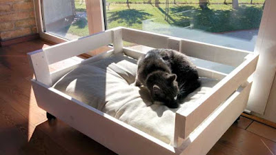Cómo hacer una cama para perros de madera Fácil paso a paso