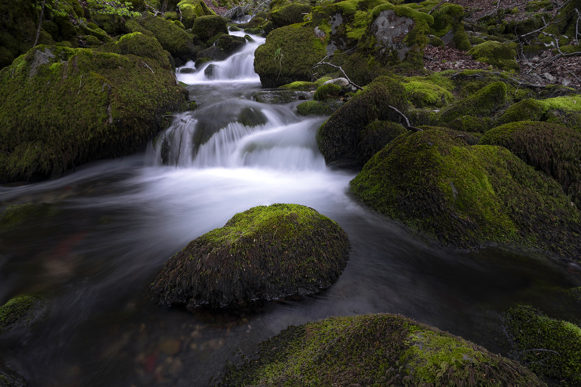 Cascadas en el hayedo de Argovejo Leon España