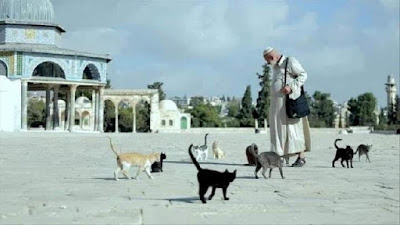 Pria Palestina Berjuluk Bapak Kucing dari Masjid Al-Aqsa Meninggal Dunia Akibat Covid-19