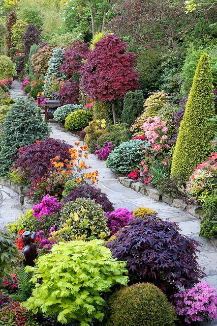 Beautiful combination of shrubs, trees &amp; flowers | A1 Pictures