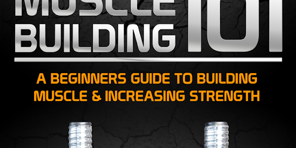 Muscle Building 101 ebook