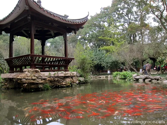 what to do in leshan