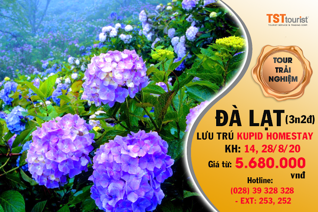 Lưu trú tại Kupid Homestay - Đà Lạt (3 ngày - 2 đêm)