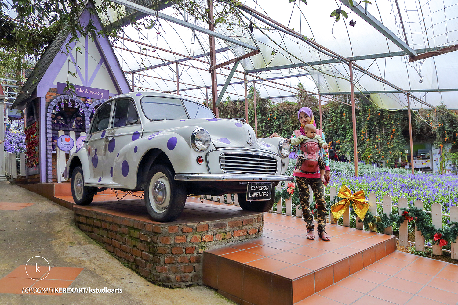 LAVENDER GARDEN CAMERON HIGHLAND