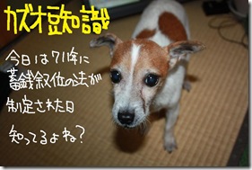 今日カズ１０１０２３　１