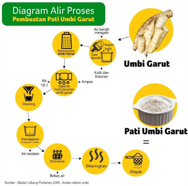 Proses pembuatan ekstrak umbi garut untuk Jenang Gemi