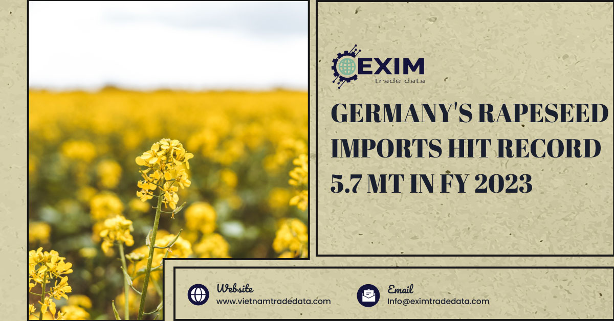 Germany's rapeseed imports hit record 5.7 MT in FY 2023