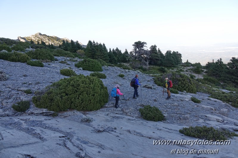 Puerto Corona-Oreganeros-Torrecilla-Atalayas