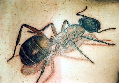 Ant Tattoo Design