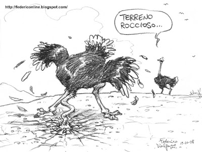 struzzi e terreno roccioso