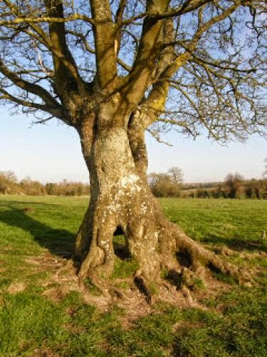 Spring Equinox 2011 West Kennet Long Barrow