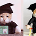 De La Salle University holds graduation ceremony for their beloved feline