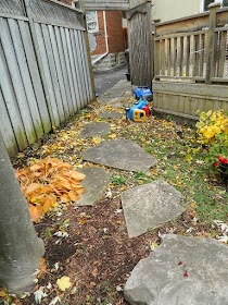 Toronto Fall Cleanup Before in Bedford Park by Paul Jung Gardening Services--a Toronto Gardening Company