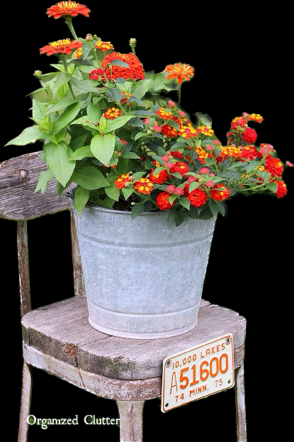 Photo of a bucket of zinnias & lantana.