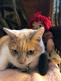 Real Cat Webster with Raggedy Ann