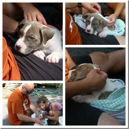 price first bath