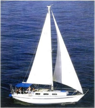 puerto vallarta sailing tours