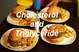 Fats (cholesterol & triglyceride)