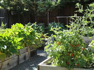 My organic vegetable garden