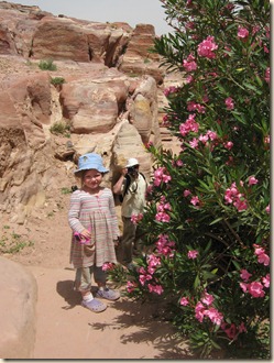 Oliander blooming in the desert with Lillian and Daddy.