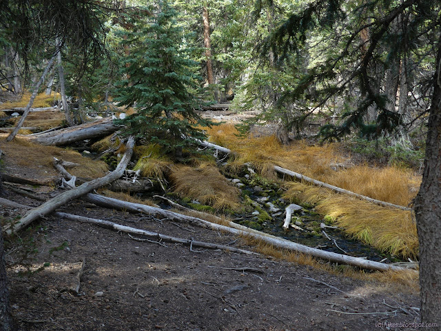 09: brown grass and green moss